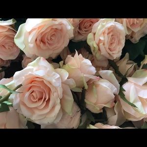 Meet your Posher, Andria